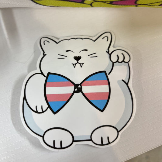 TRNS PRIDE VINYL
