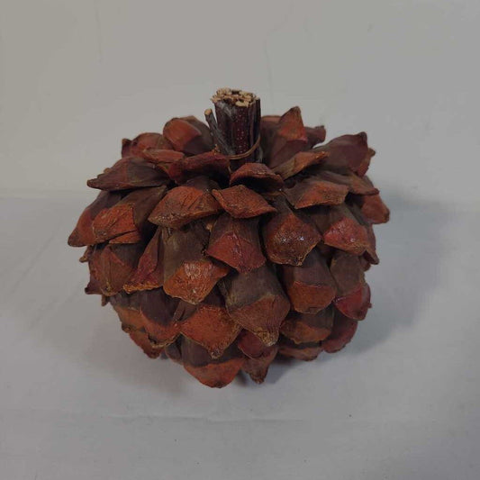 PINECONE APPLE