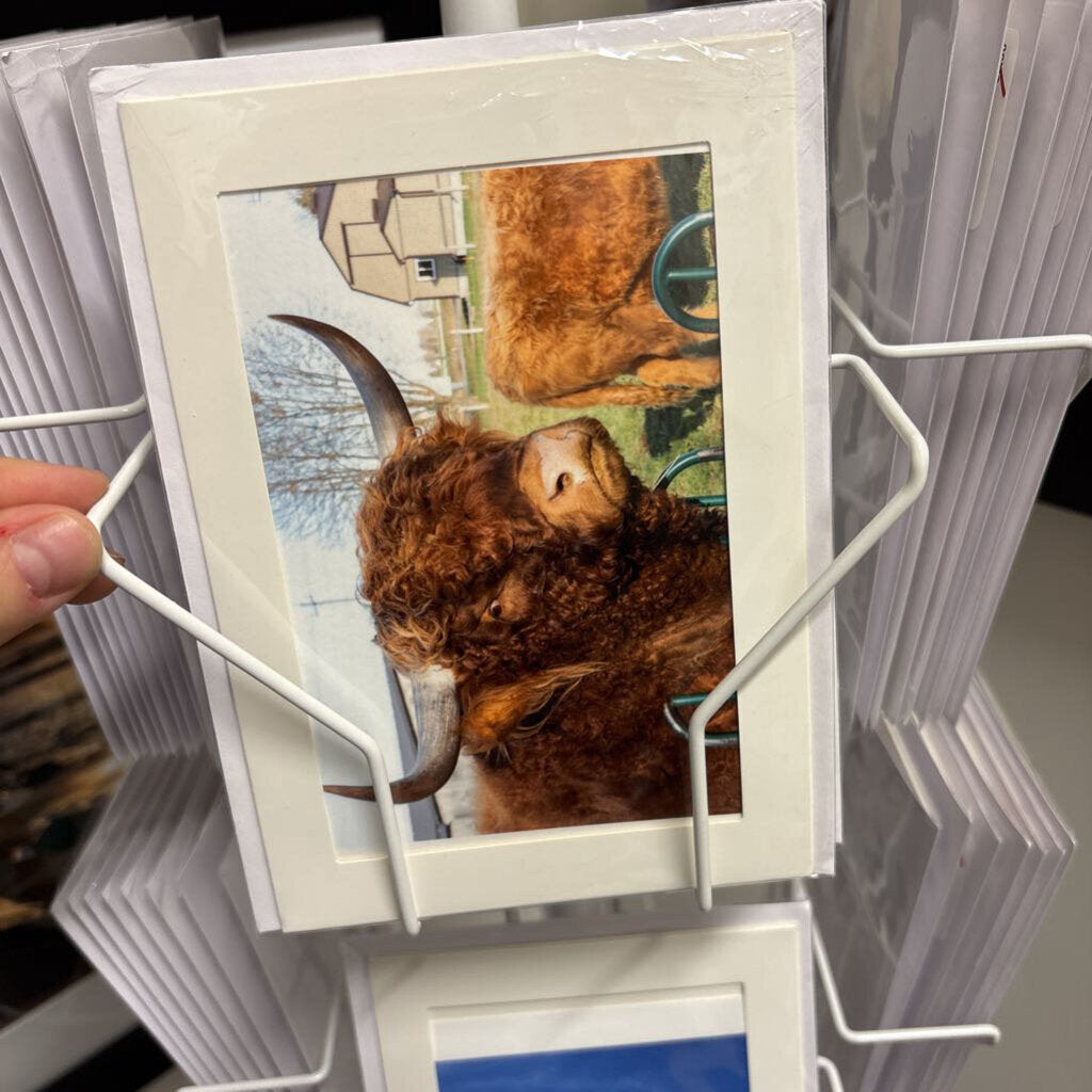 ASSORTED PHOTO CARDS 4X6