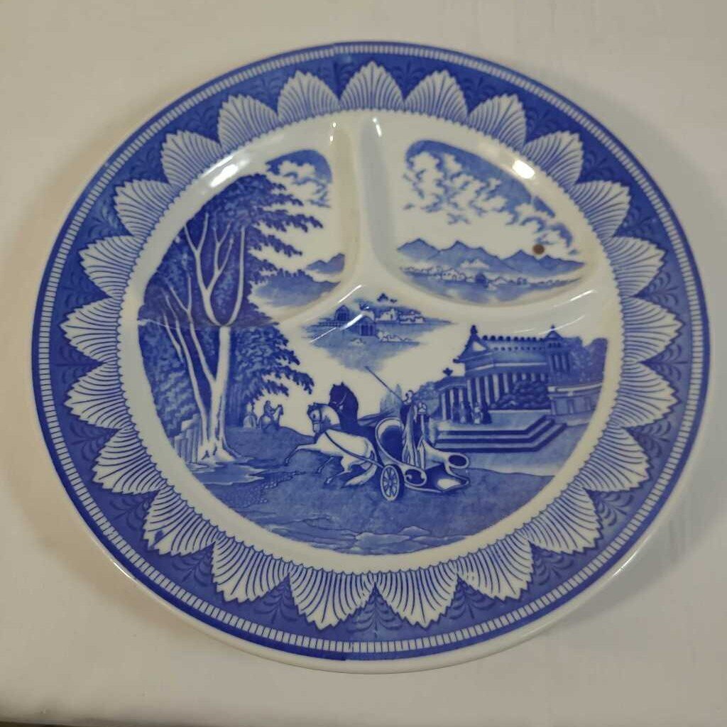 BLUE & WHITE DIVIDED GRILL PLATE