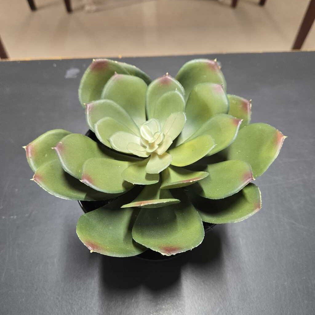FAUX SUCCULENT IN BLACK POT