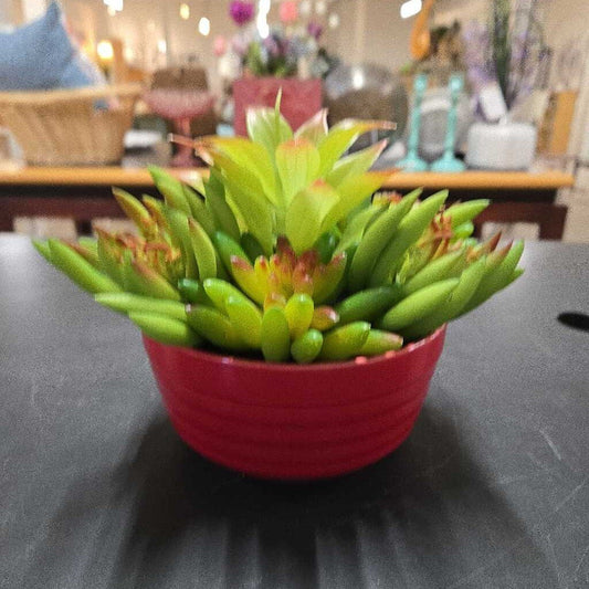 FAUX SUCCULENTS IN RED DISH
