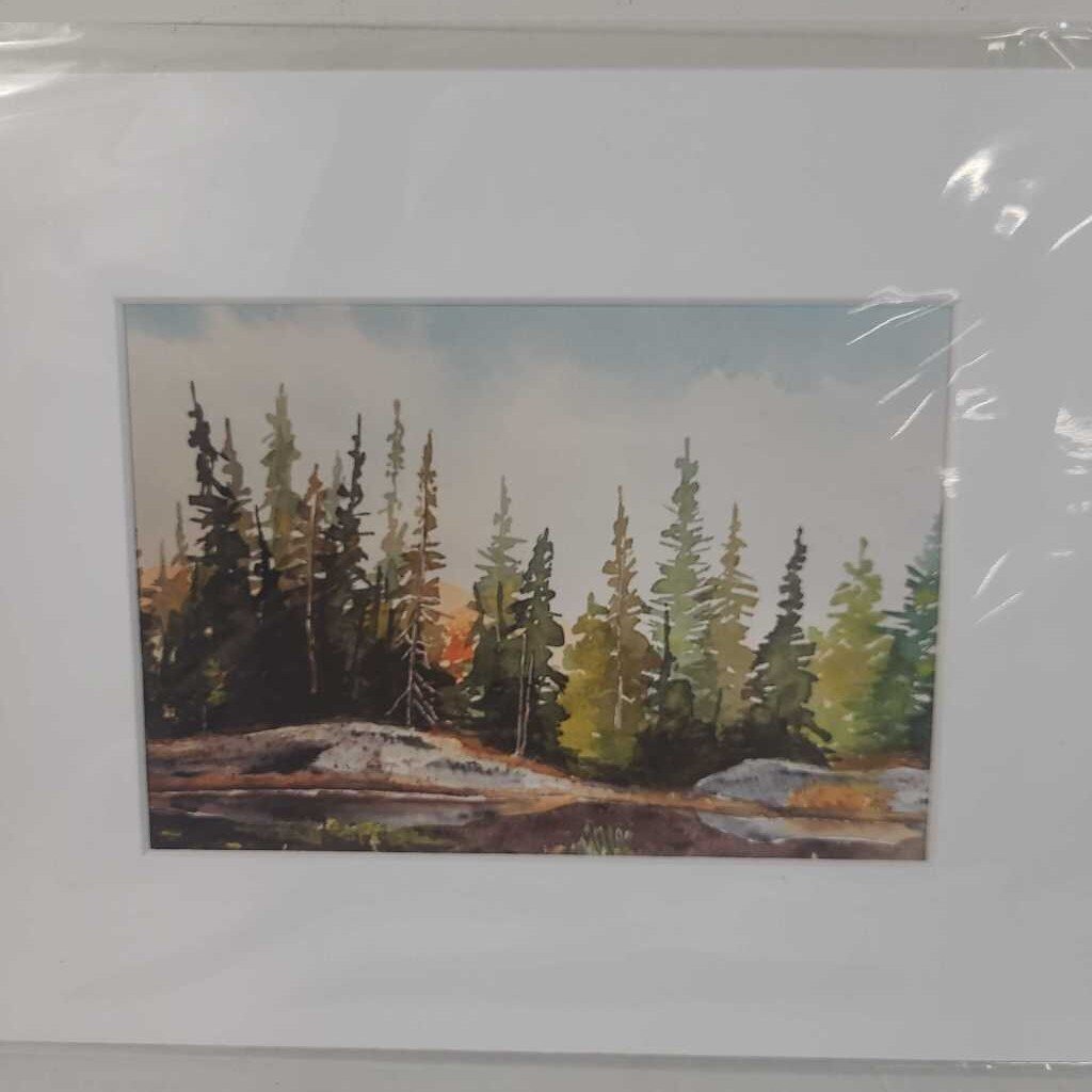PINE FOREST WATERCOLOUR