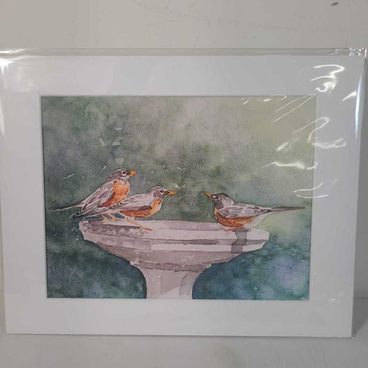 ROBINS AT THE BATH
