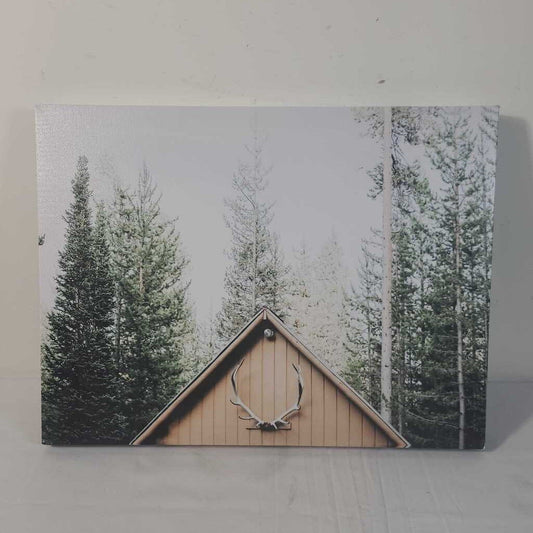 PINE TREE CANVAS
