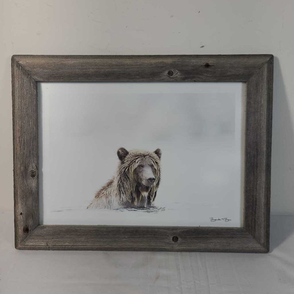 FRAMED BEAR PRINT