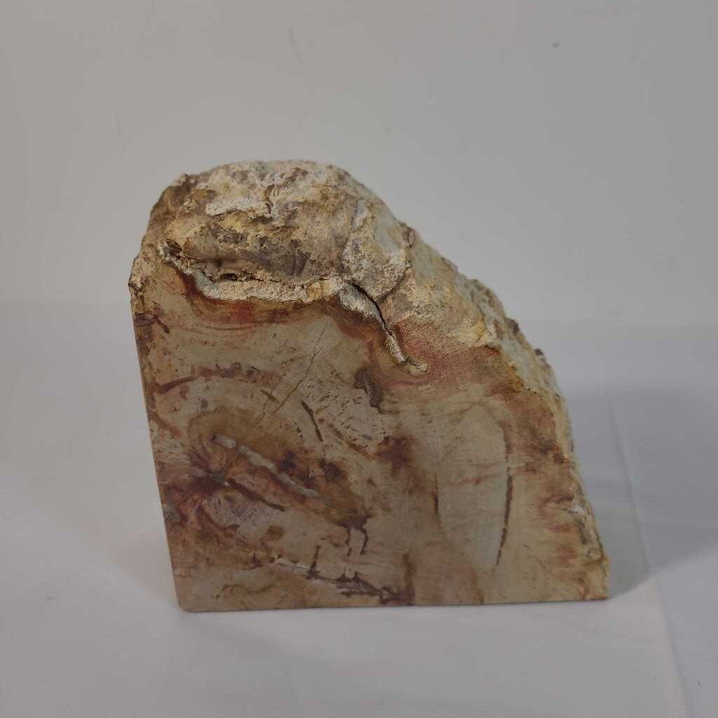 PETRIFIED WOOD BOOKEND