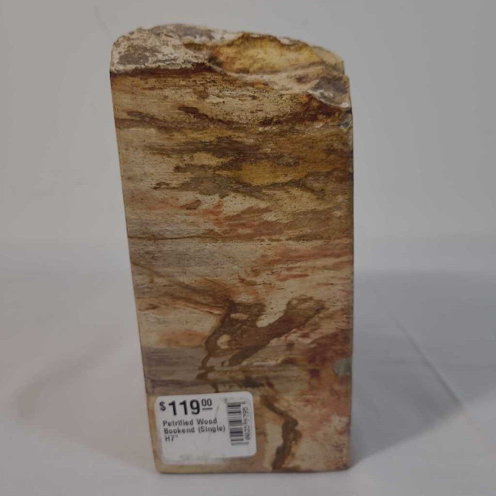 PETRIFIED WOOD BOOKEND