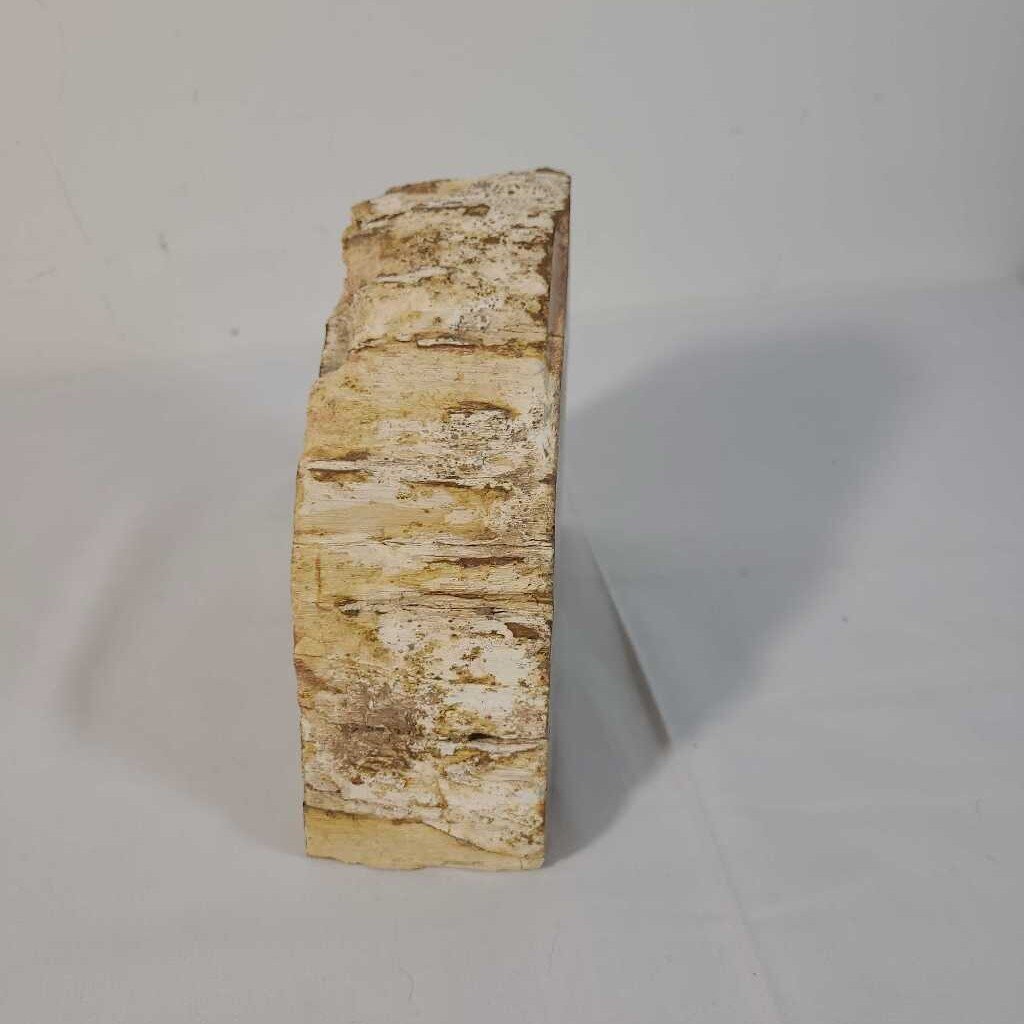 PETRIFIED WOOD BOOKEND