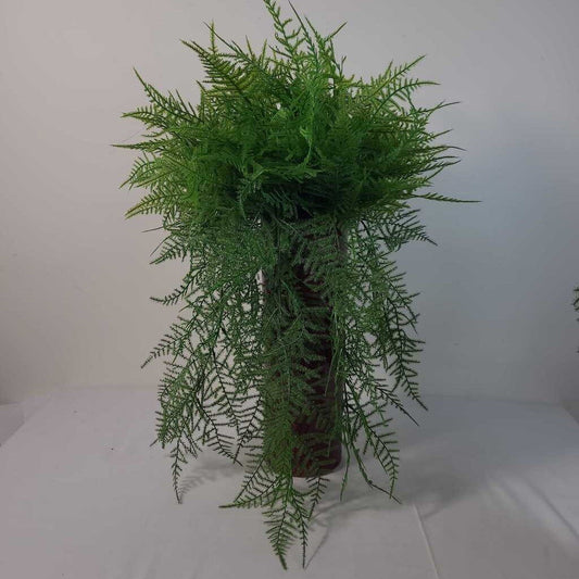 TRAILING FERN IN RED VASE