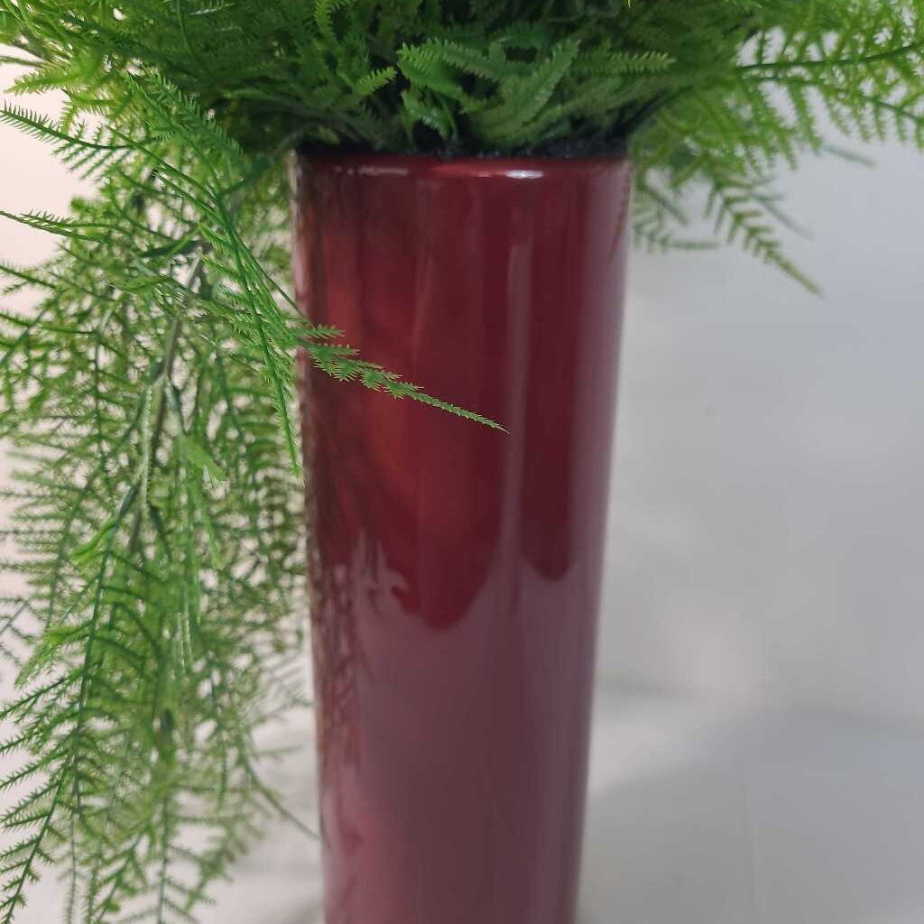 TRAILING FERN IN RED VASE