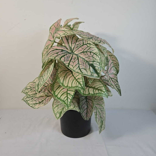 FAUX CALADIUM IN BLACK POT