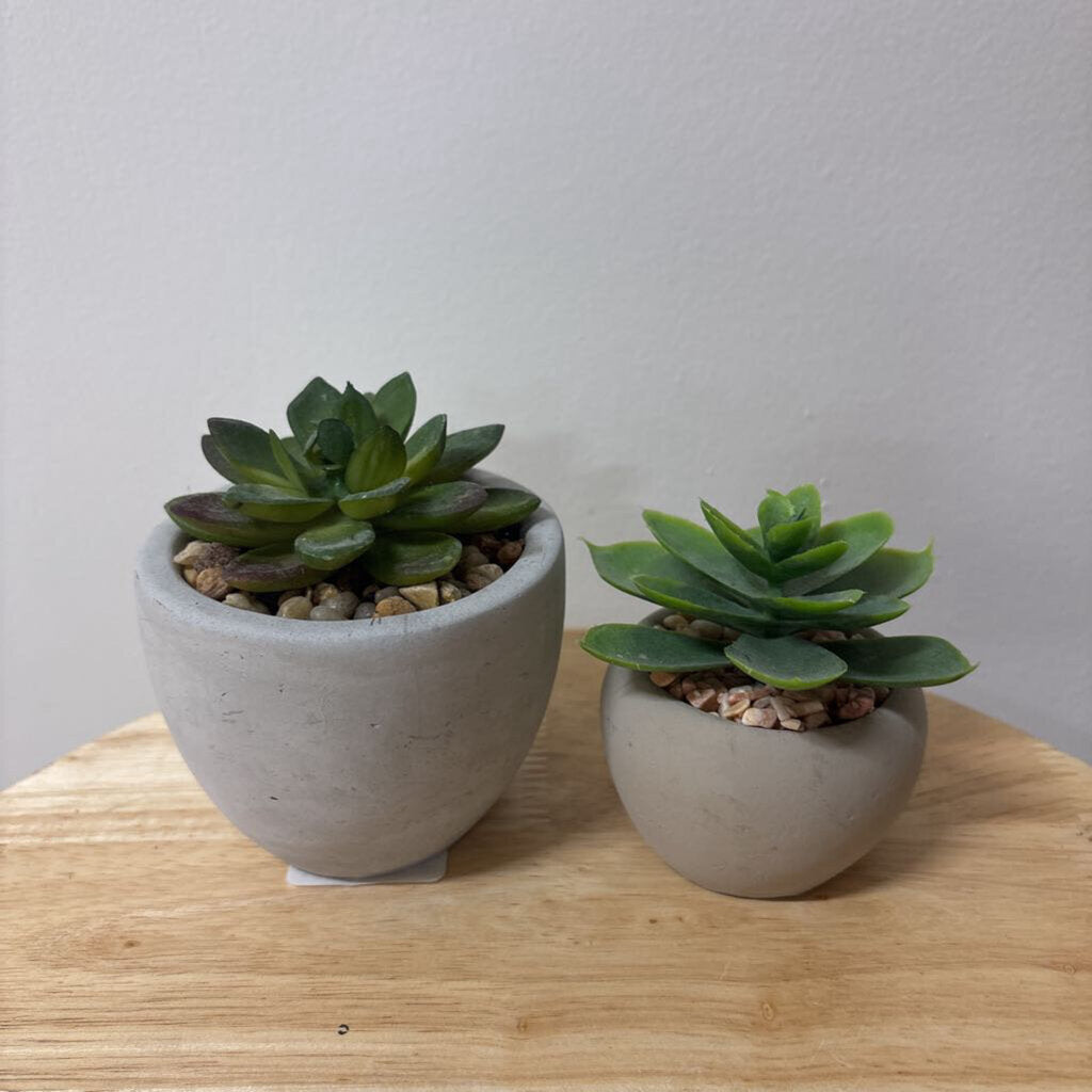 Set of 2 small Faux Succulents
