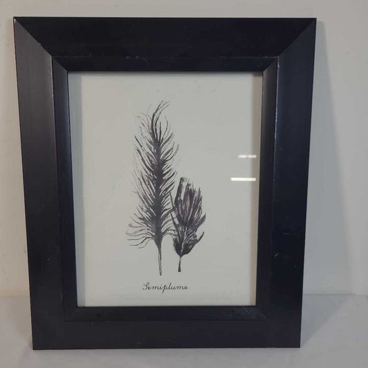 FRAMED FEATHER PICTURE