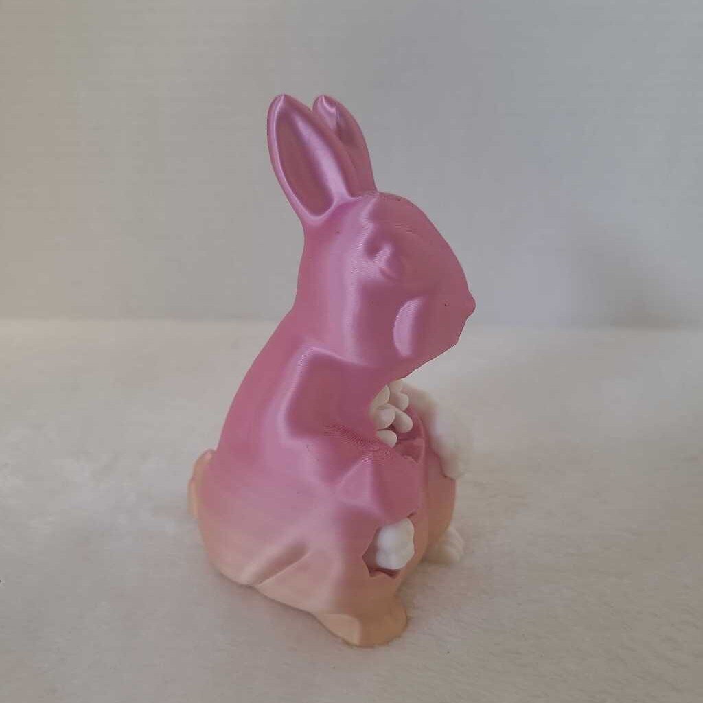 Easter rabit skeleton