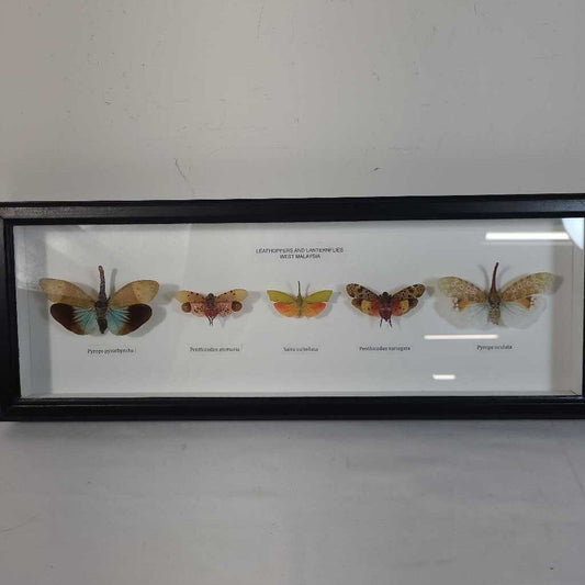 LANTERNFLIES WALL ART