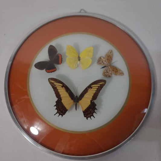 ROUND DOME W/BUTTERFLIES