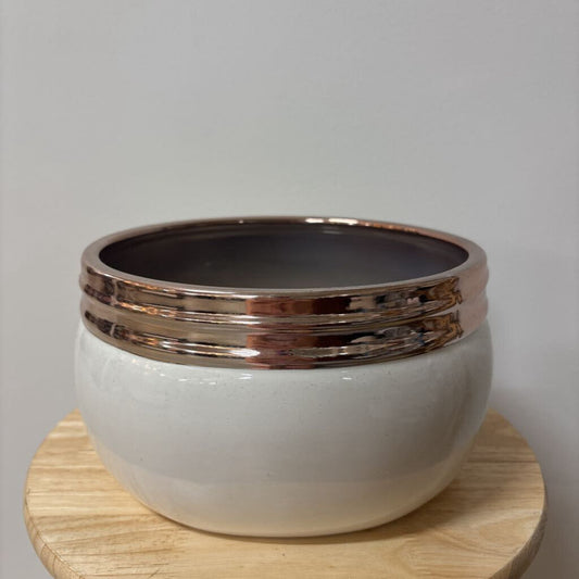 Medium Planter White with Rose Gold Rim