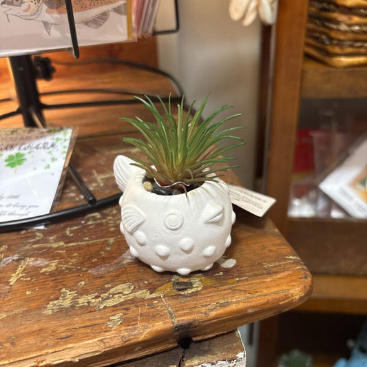 Artificial Plant - Fish Pot