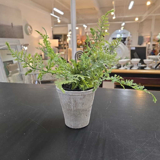 FAUX FERN IN TEXTURED POT