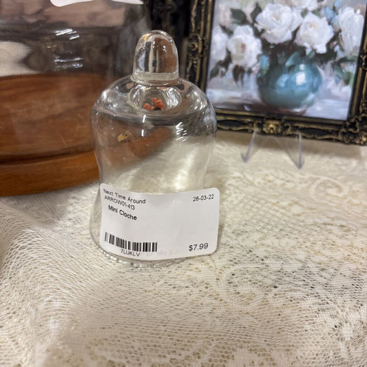 Mini Cloche