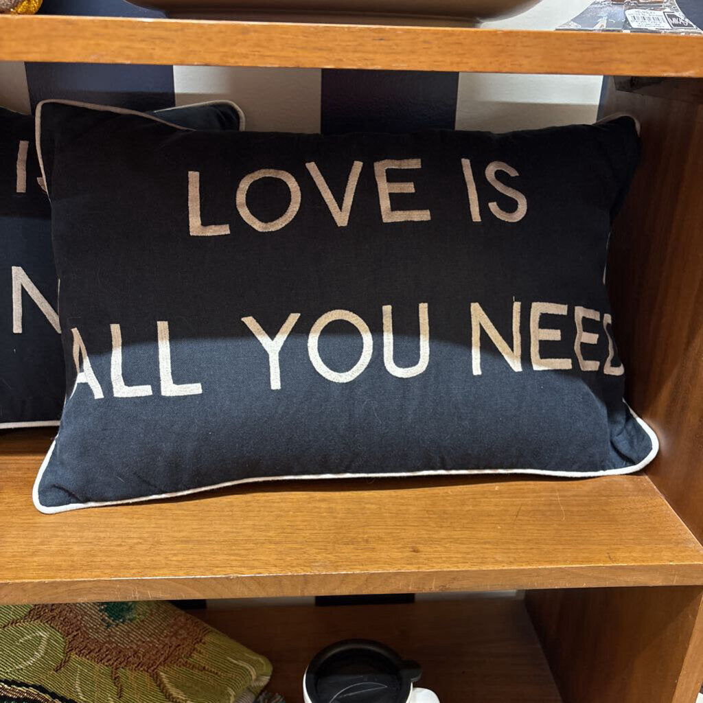 "LOVE IS ALL YOU NEED" EMBROIDERED THROW PILLOWS SET OF 2 BY BARBARA COUPE