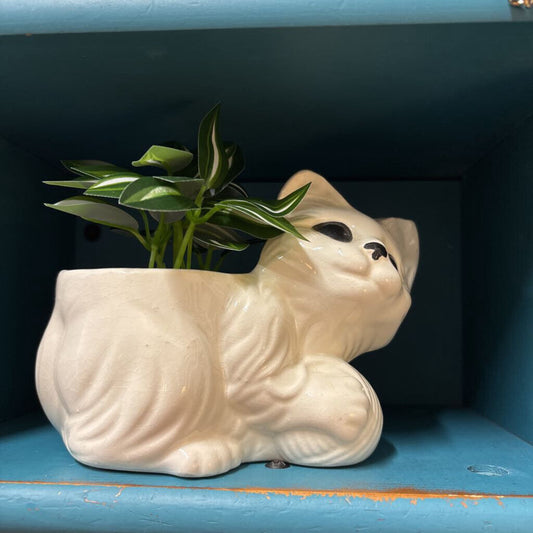 VINTAGE MCM CERAMIC WHITE CAT PLANTER