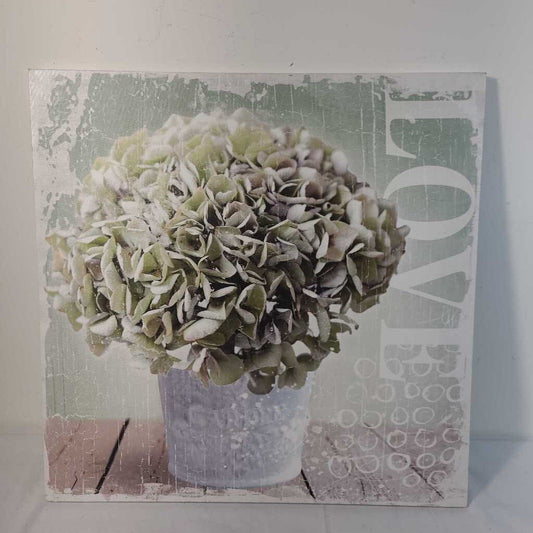 POTTED HYDRANGEA ~ LOVE