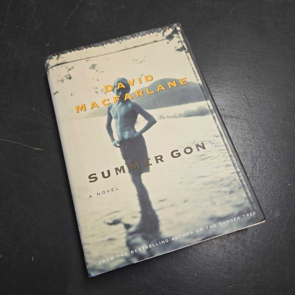 SUMMER GONE - DAVID MACFARLANE