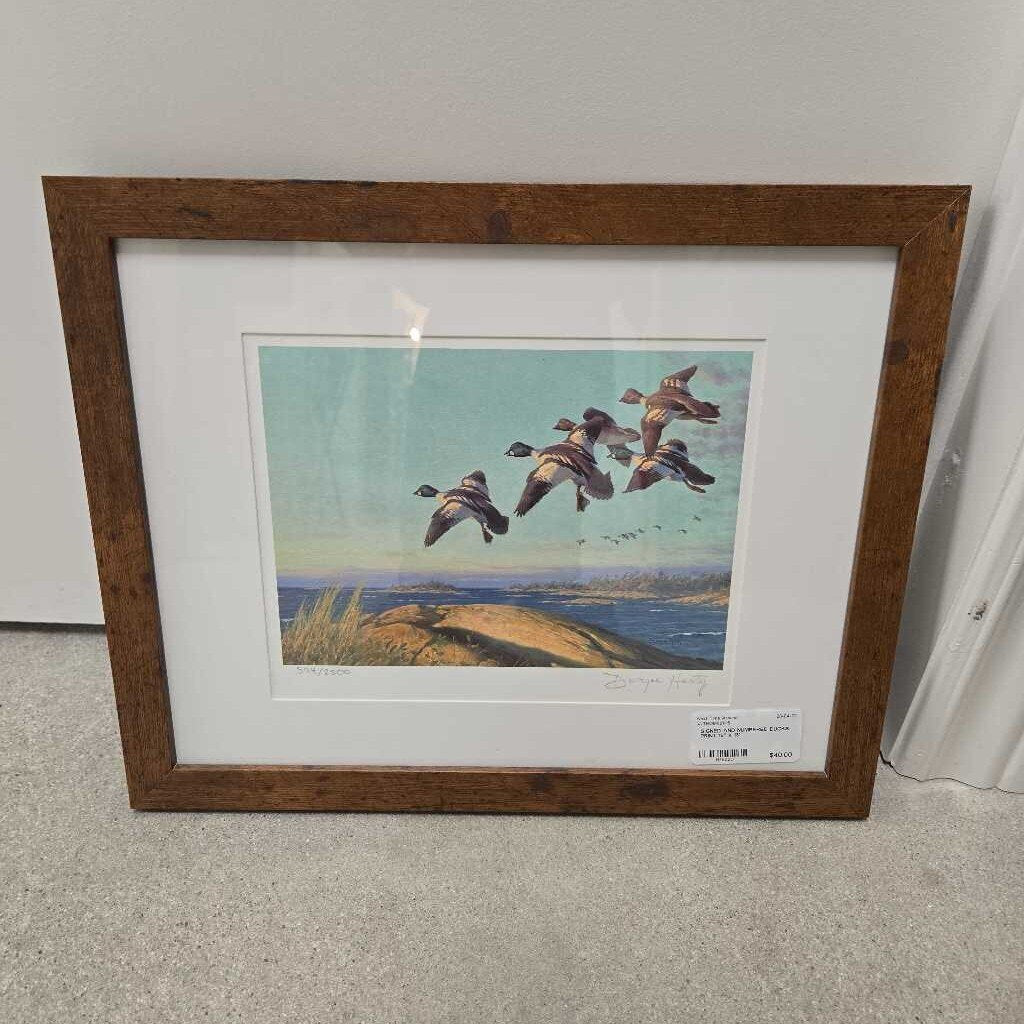 SIGNED AND NUMBERED DUCKS PRINT