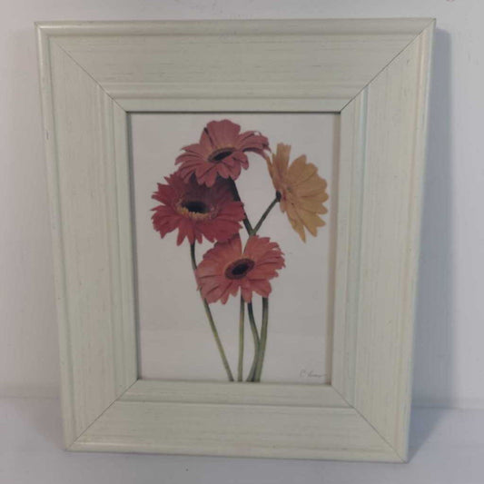 GERBER DAISYS~A