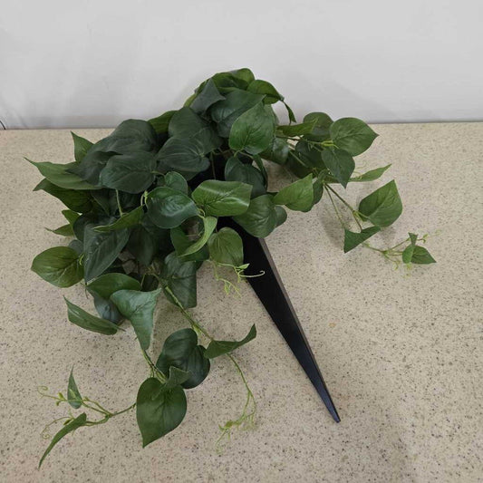 POTHOS IN WALL VASE