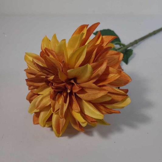 ORANGE VARIGATED DAHLIA