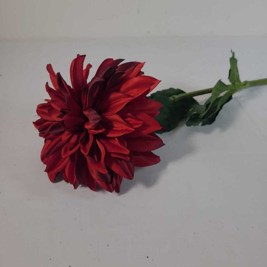 RED DAHLIA