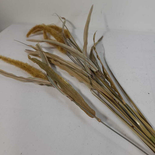 REED GRASS BUNCH