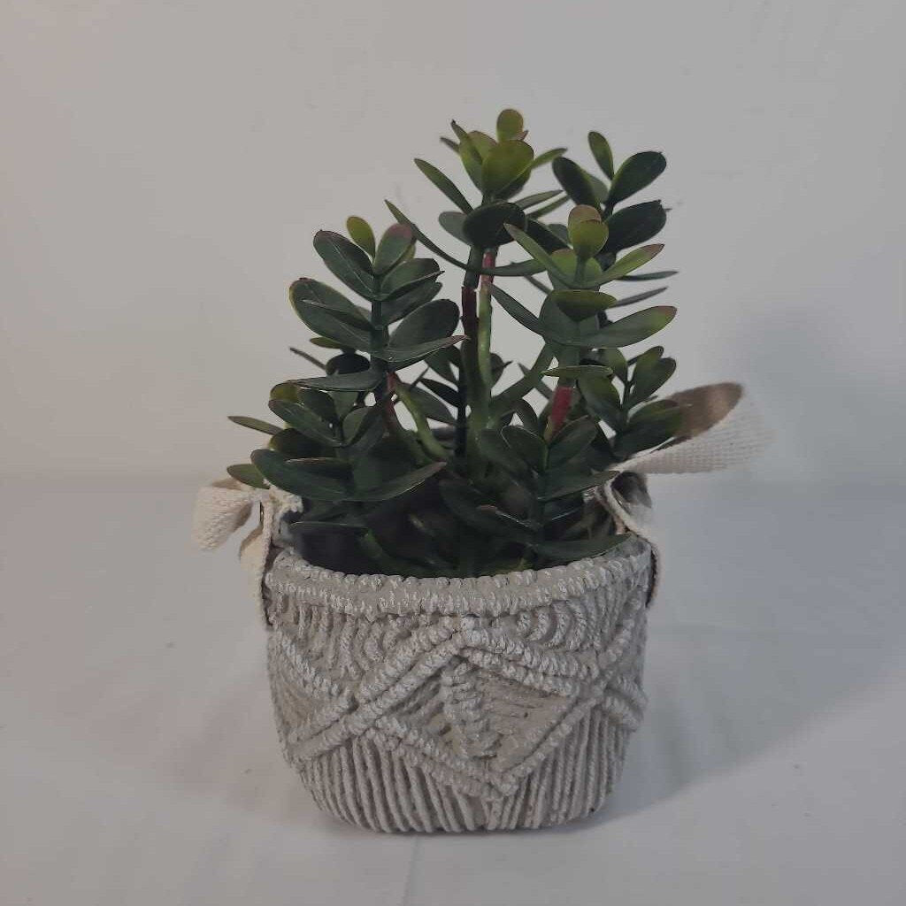 SWEATER LOOK CERAMIC POT W/ GREENERY