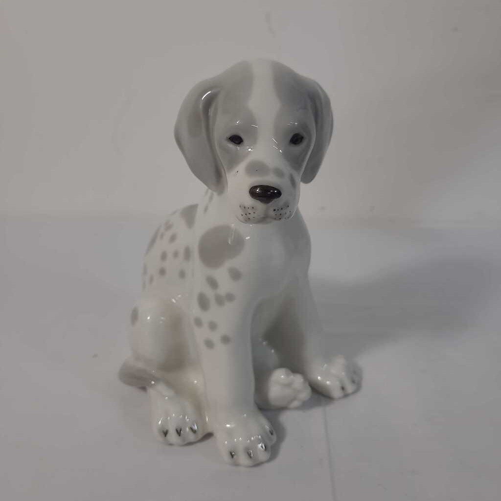 VTG LOMONOSOV DALMATION