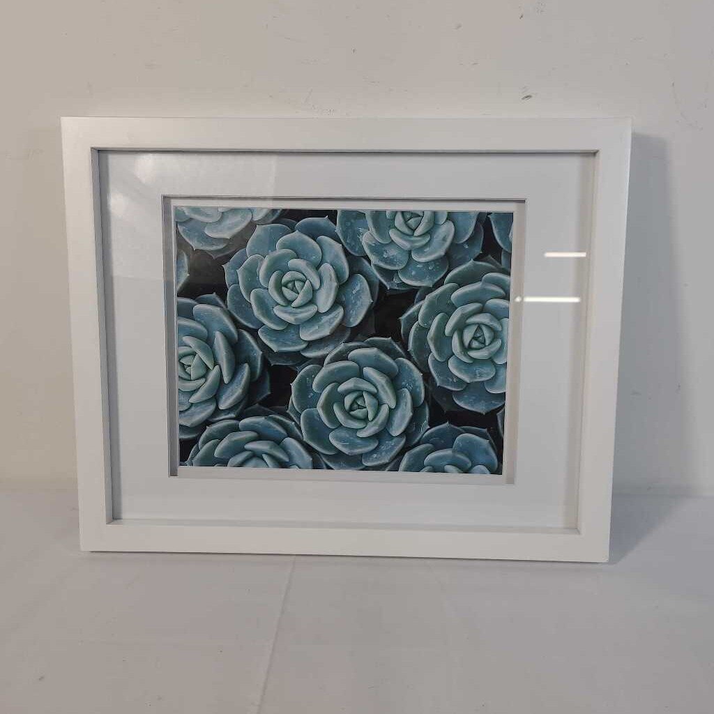 SUCCULENT WALL ART
