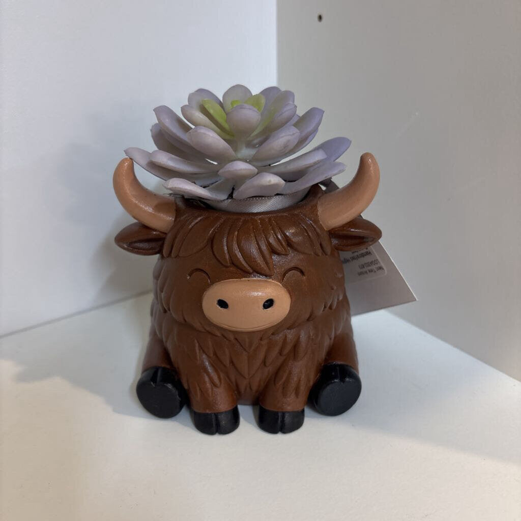 Handcrafted Highland cow Succulent