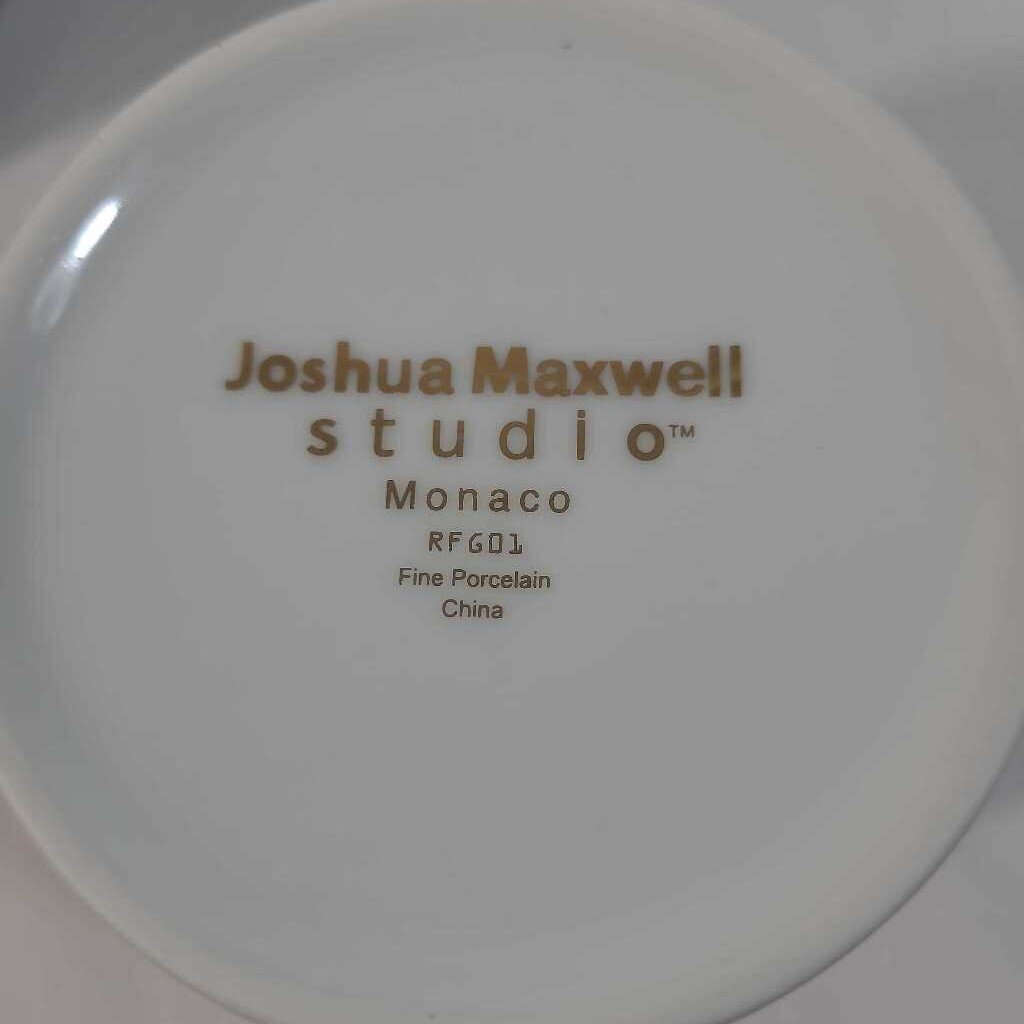 45 pc JOSHUA MAXWELL STUDIO "MONACO" CHINA SET