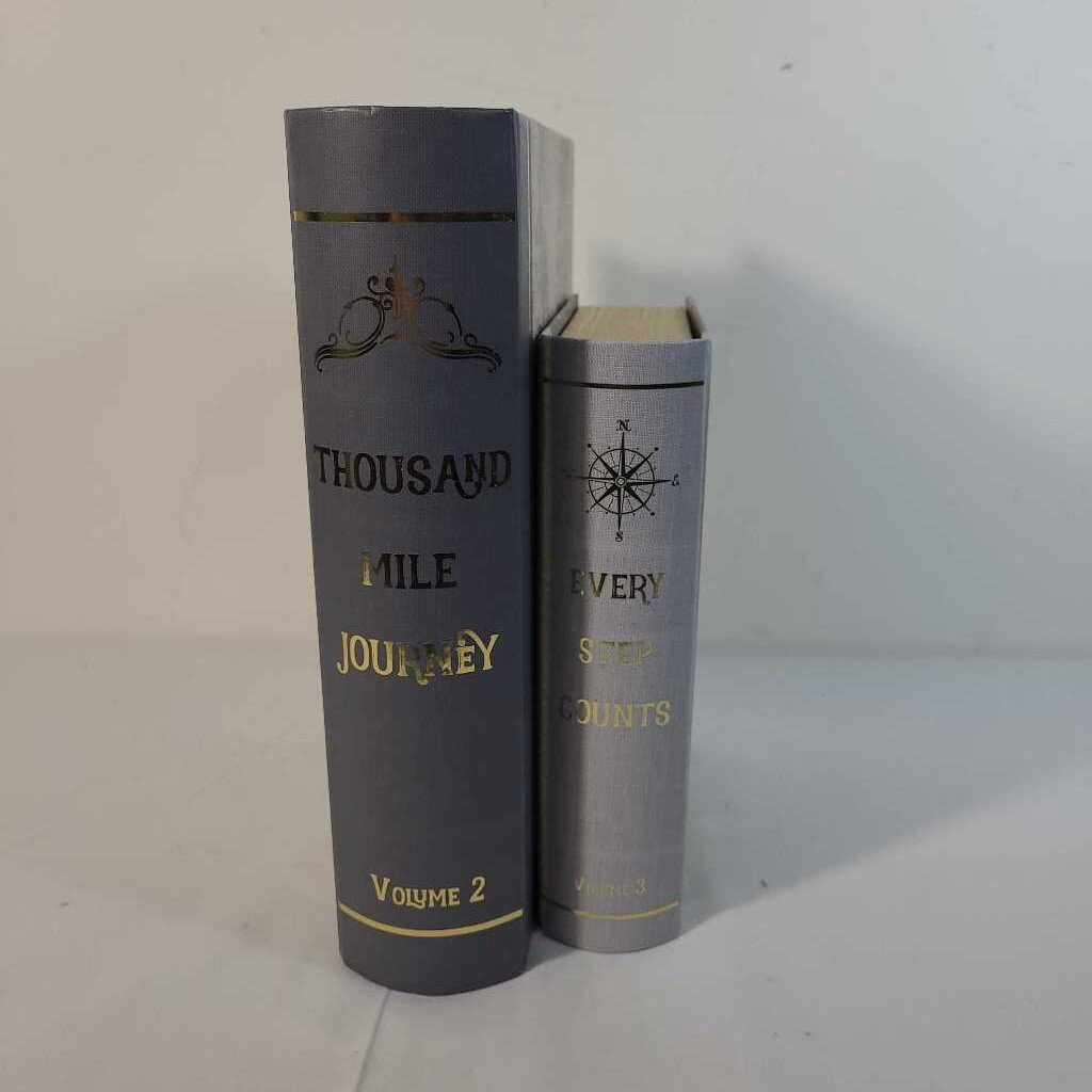 PR HIDDEN BOOKS - EVERY STEP COUNTS & THOUSAND MILE JOURNEY