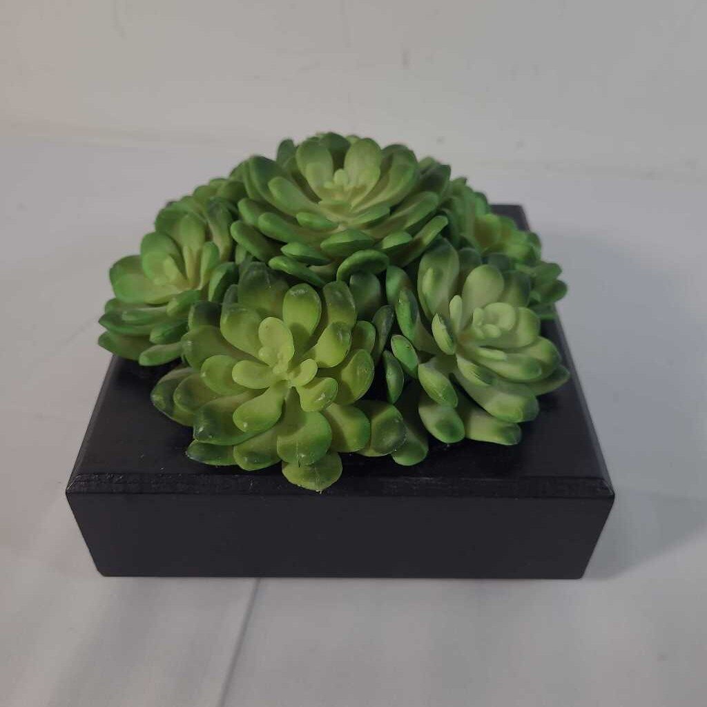 FAUX SUCCULENTS IN LOW PLANTER