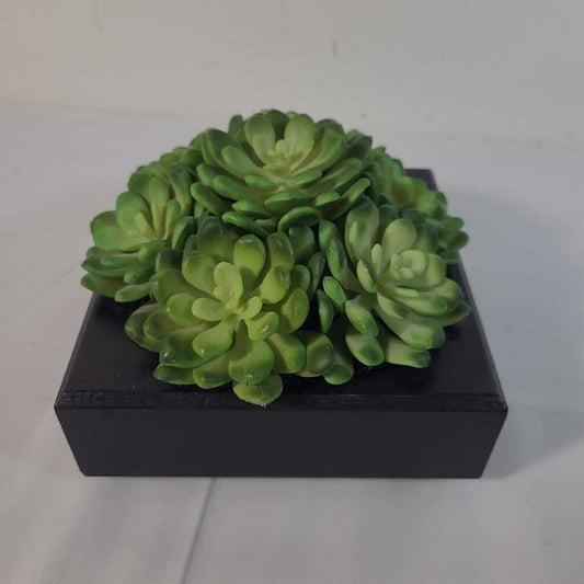 FAUX SUCCULENTS IN LOW PLANTER
