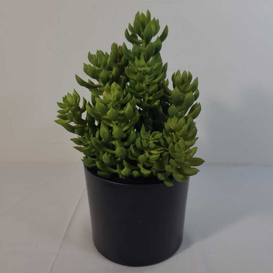 FAUX GREENERY IN BLACK POT