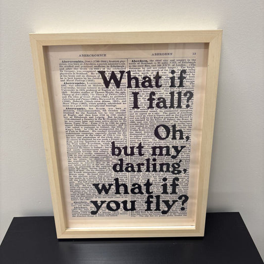 WHAT IF YOU COULD FLY PIC