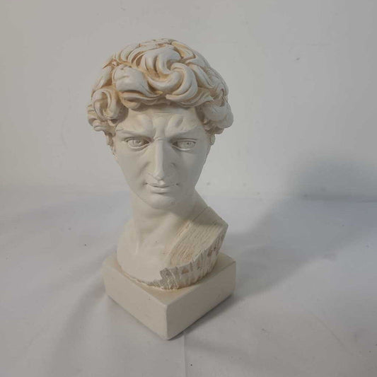 MICHELANGELO'S DAVID BUST