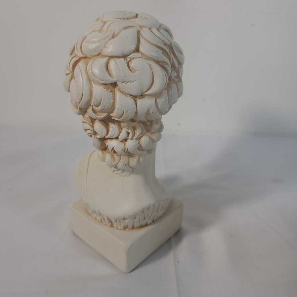 MICHELANGELO'S DAVID BUST