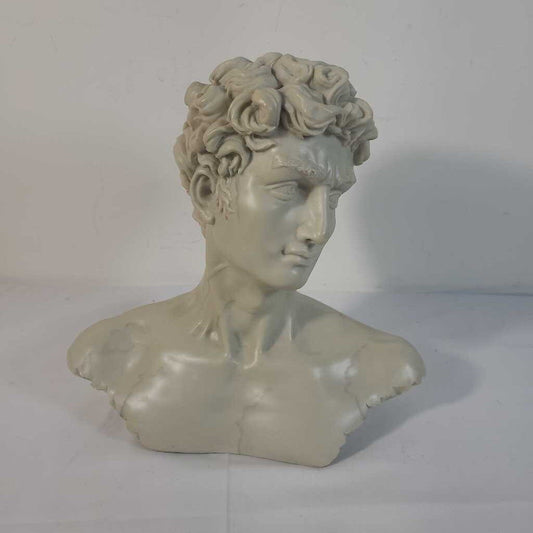 VTG RESIN MICHELANGELO'S DAVID BUST
