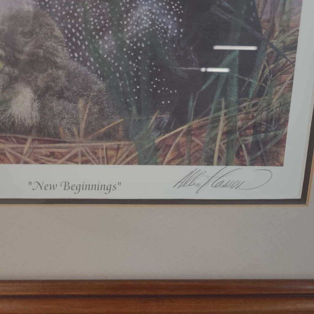 A.CASSON - NEW BEGINNINGS