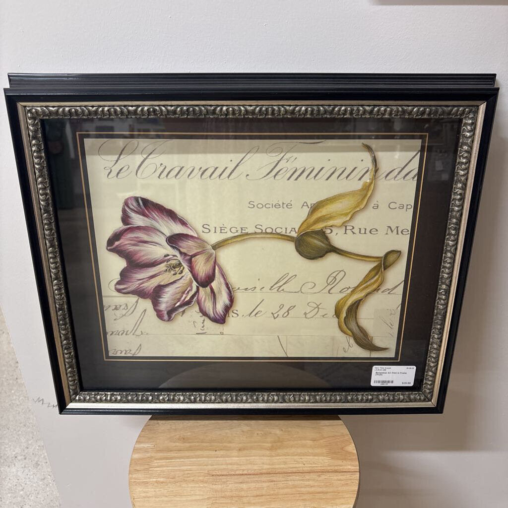 Botannical Art Print in Frame (17x21)